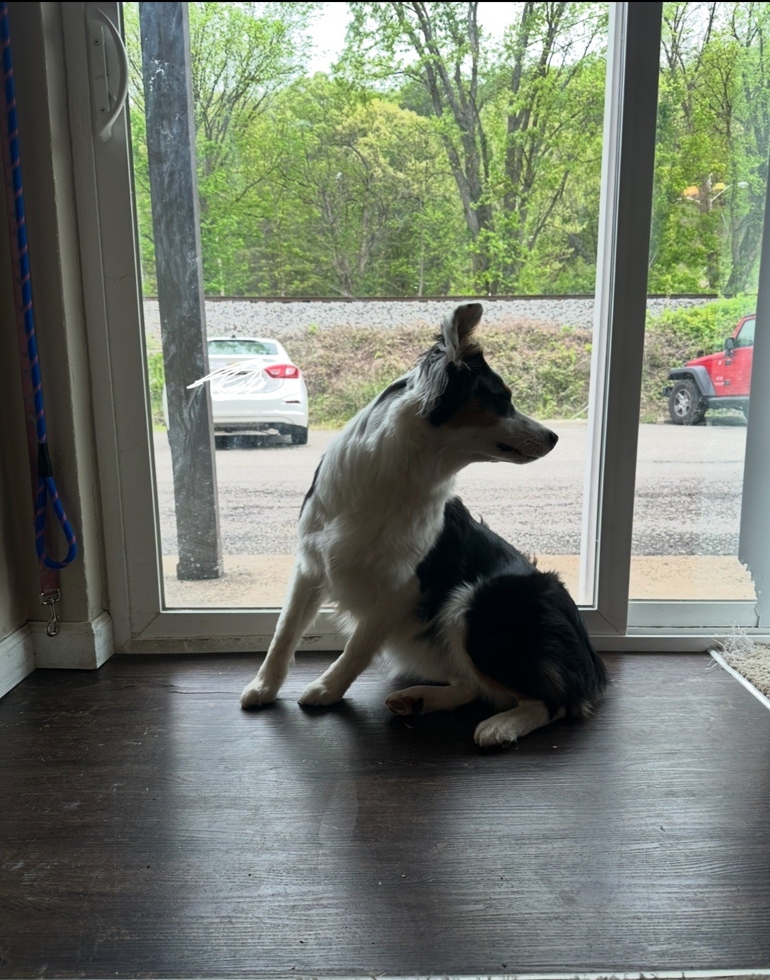 Ellie modeling in front of the glass sliding door
