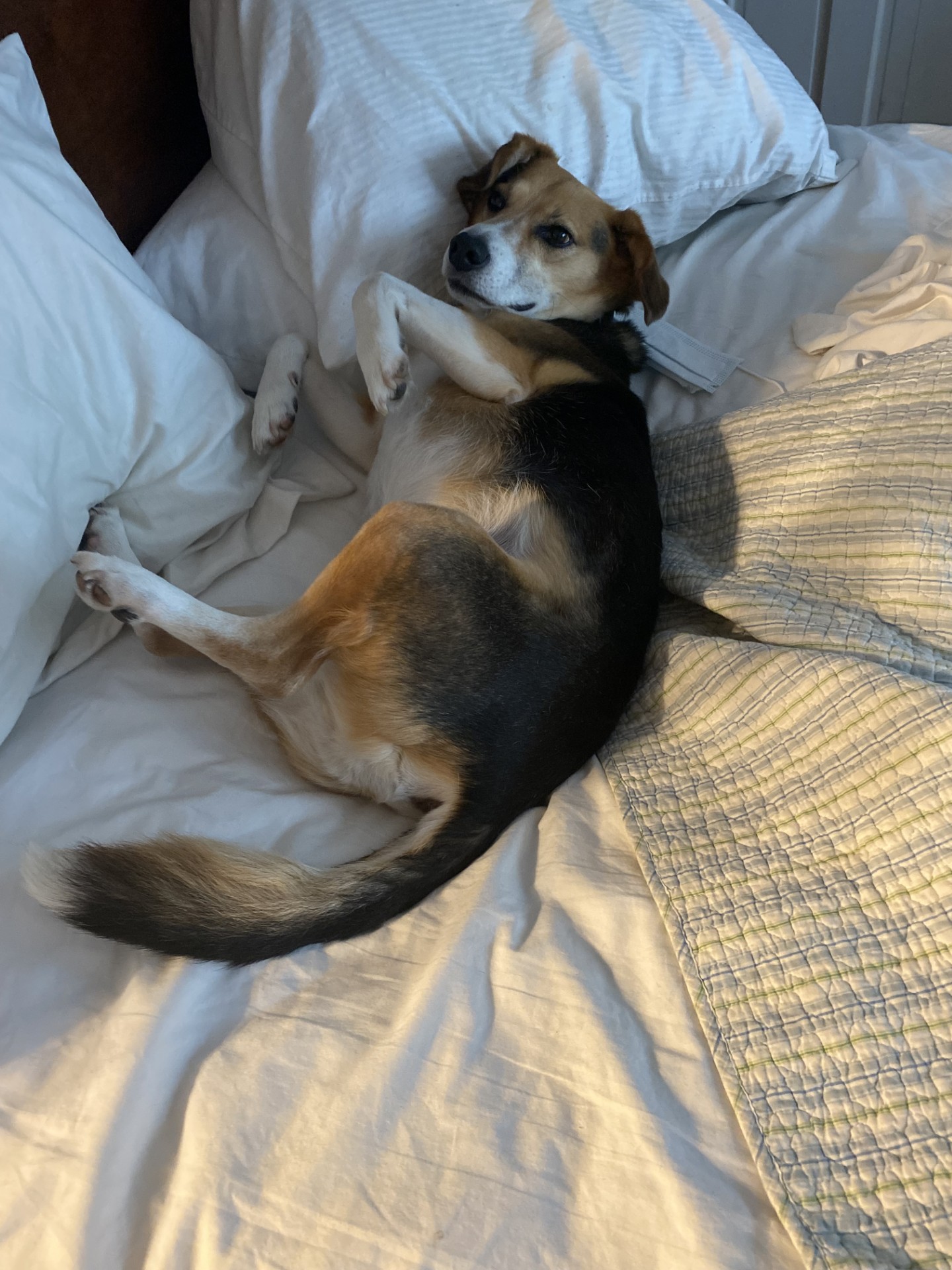 Scott on the bed