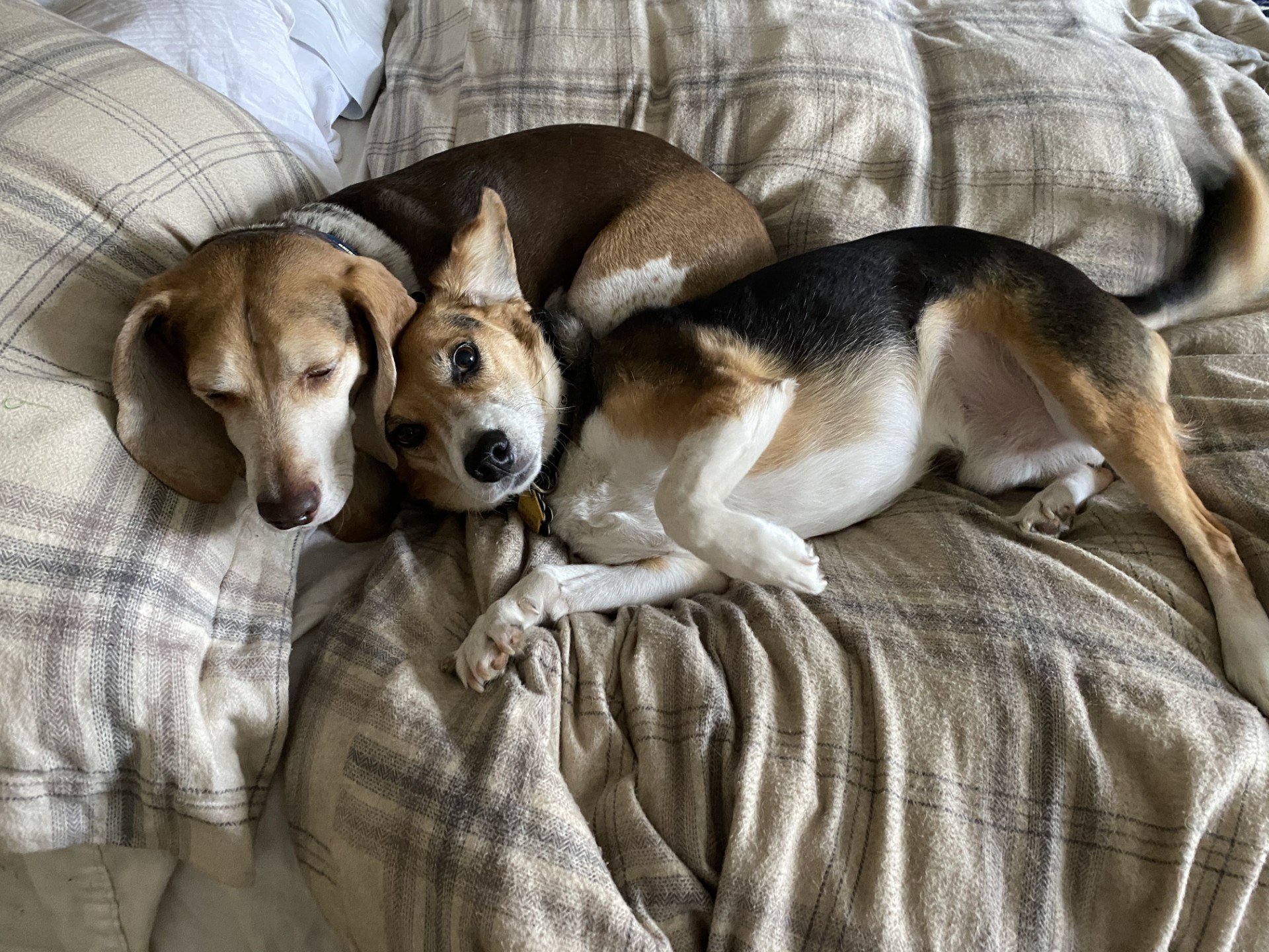 Scott and Ellie cuddling